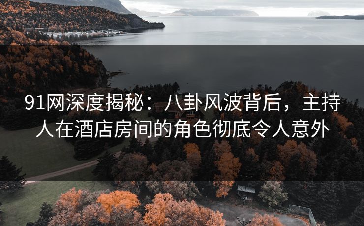 91网深度揭秘：八卦风波背后，主持人在酒店房间的角色彻底令人意外