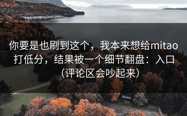 你要是也刷到这个，我本来想给mitao打低分，结果被一个细节翻盘：入口（评论区会吵起来）