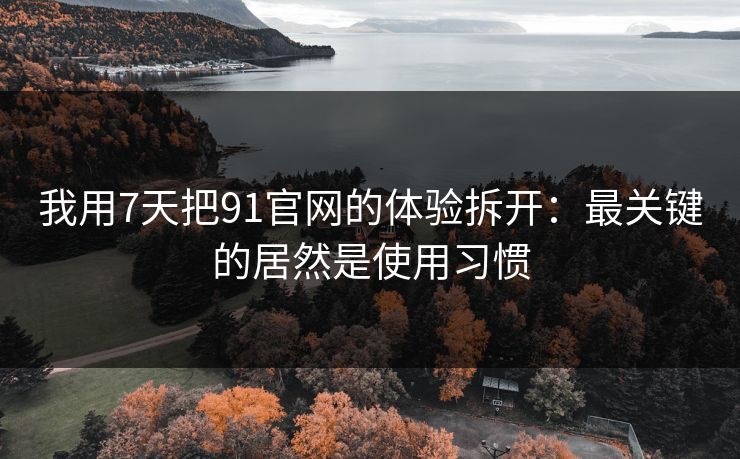 我用7天把91官网的体验拆开：最关键的居然是使用习惯